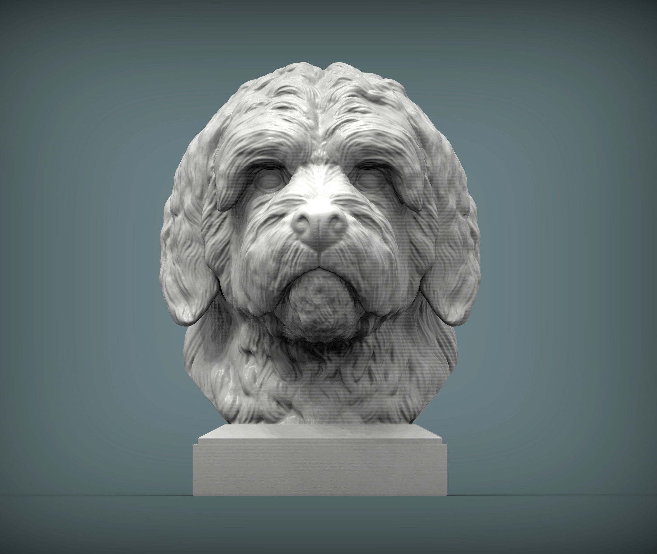 GoldenDoodle bust 3D print model_1