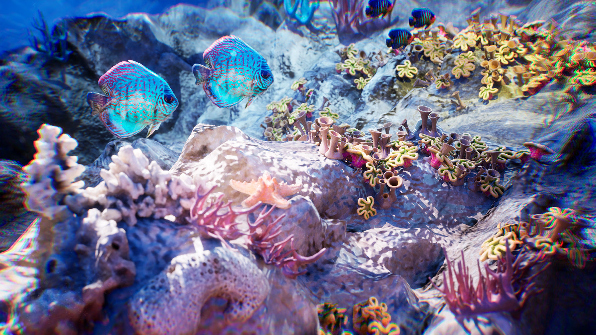 Ocean Floor Pack  High Quality Environment Low-poly 3D model_6