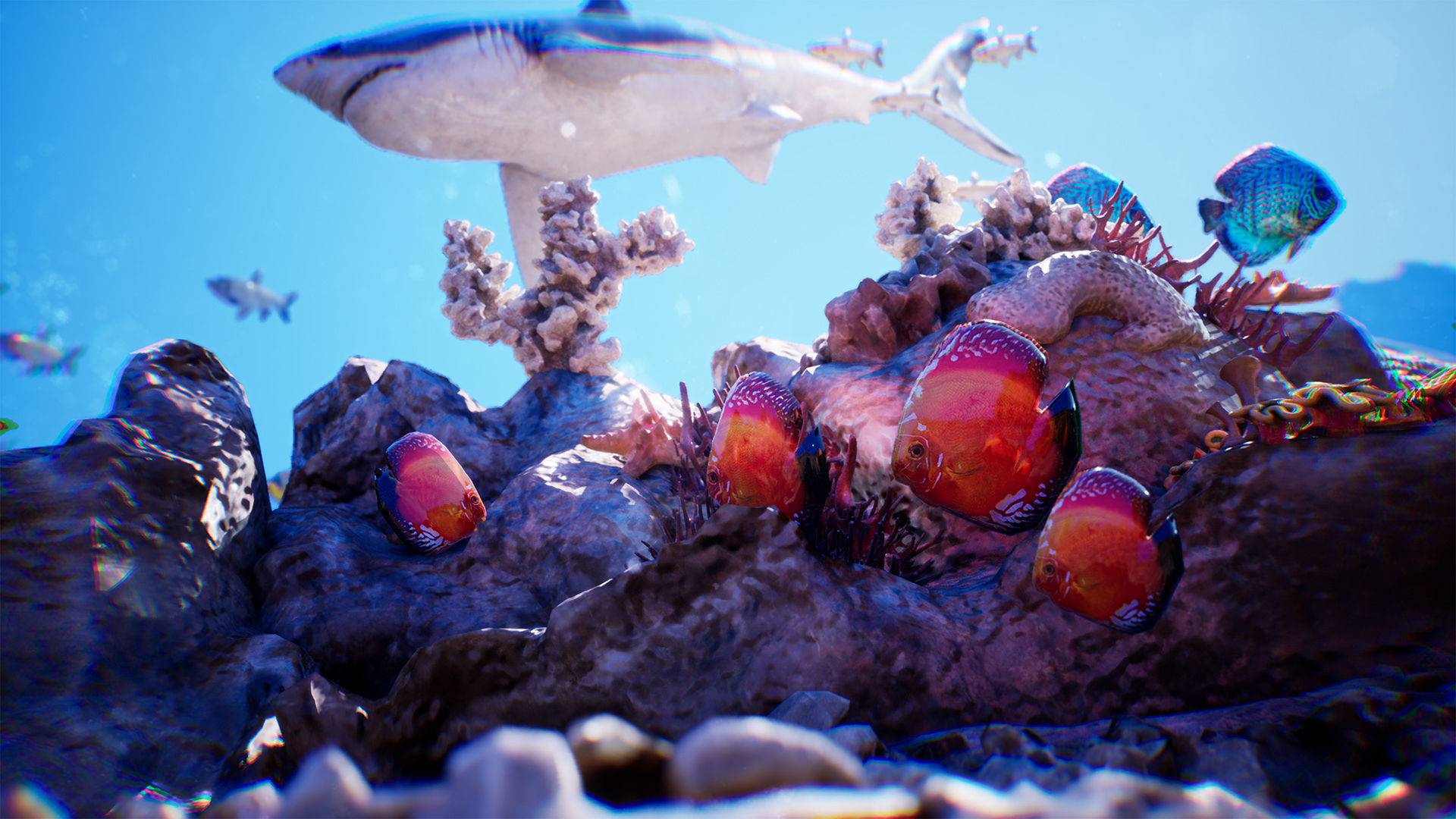 Ocean Floor Pack  High Quality Environment Low-poly 3D model_9