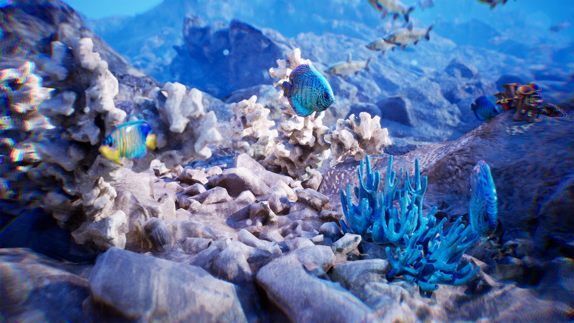 Ocean Floor Pack  High Quality Environment Low-poly 3D model_7