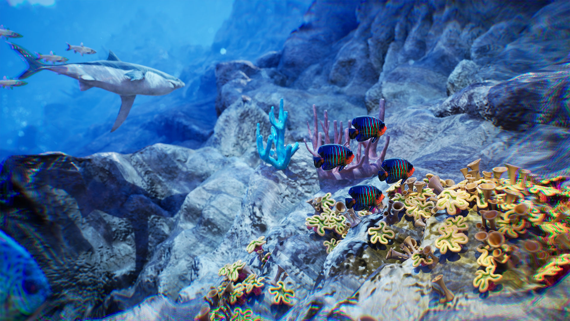 Ocean Floor Pack  High Quality Environment Low-poly 3D model_5