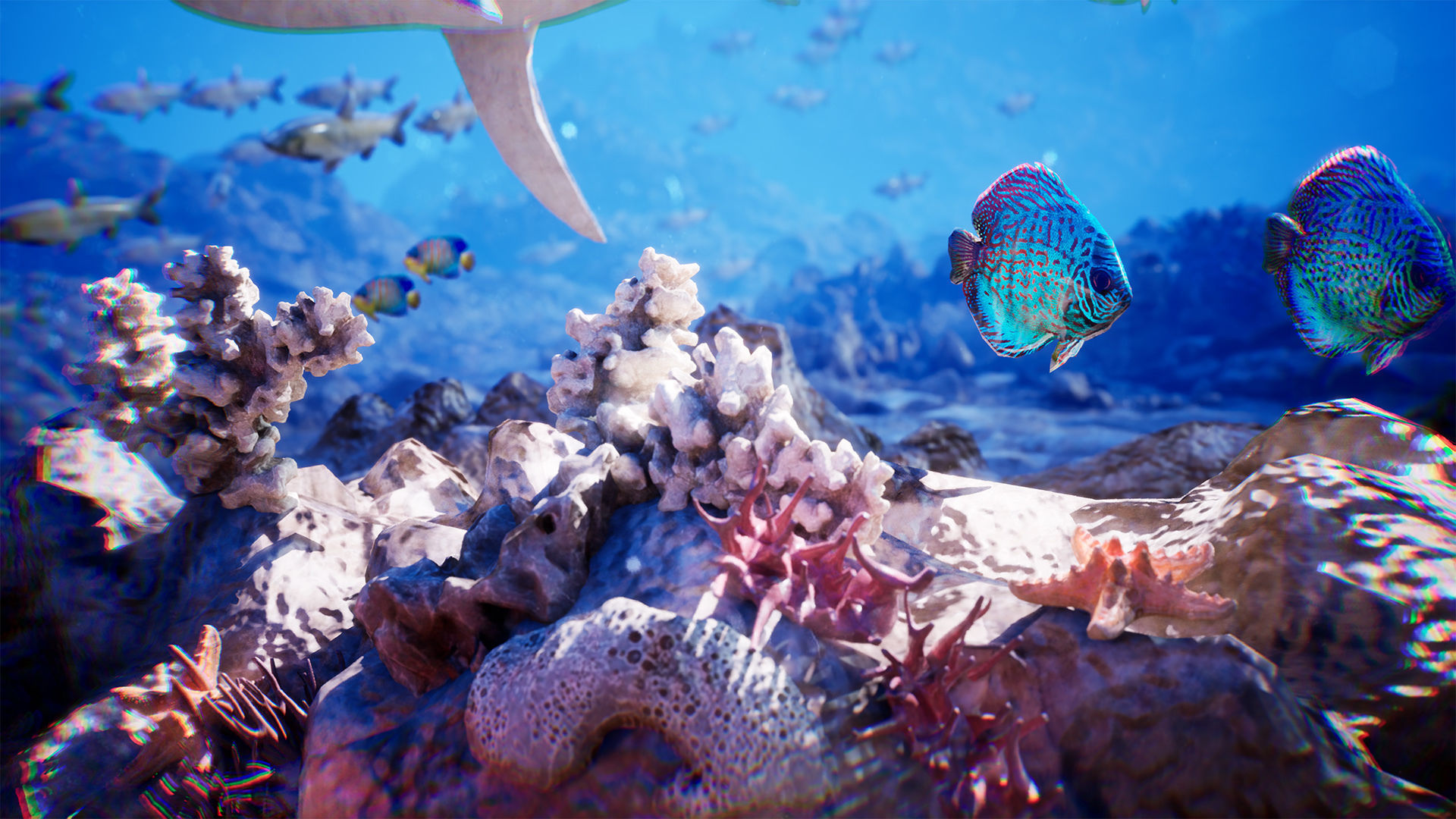 Ocean Floor Pack  High Quality Environment Low-poly 3D model_4