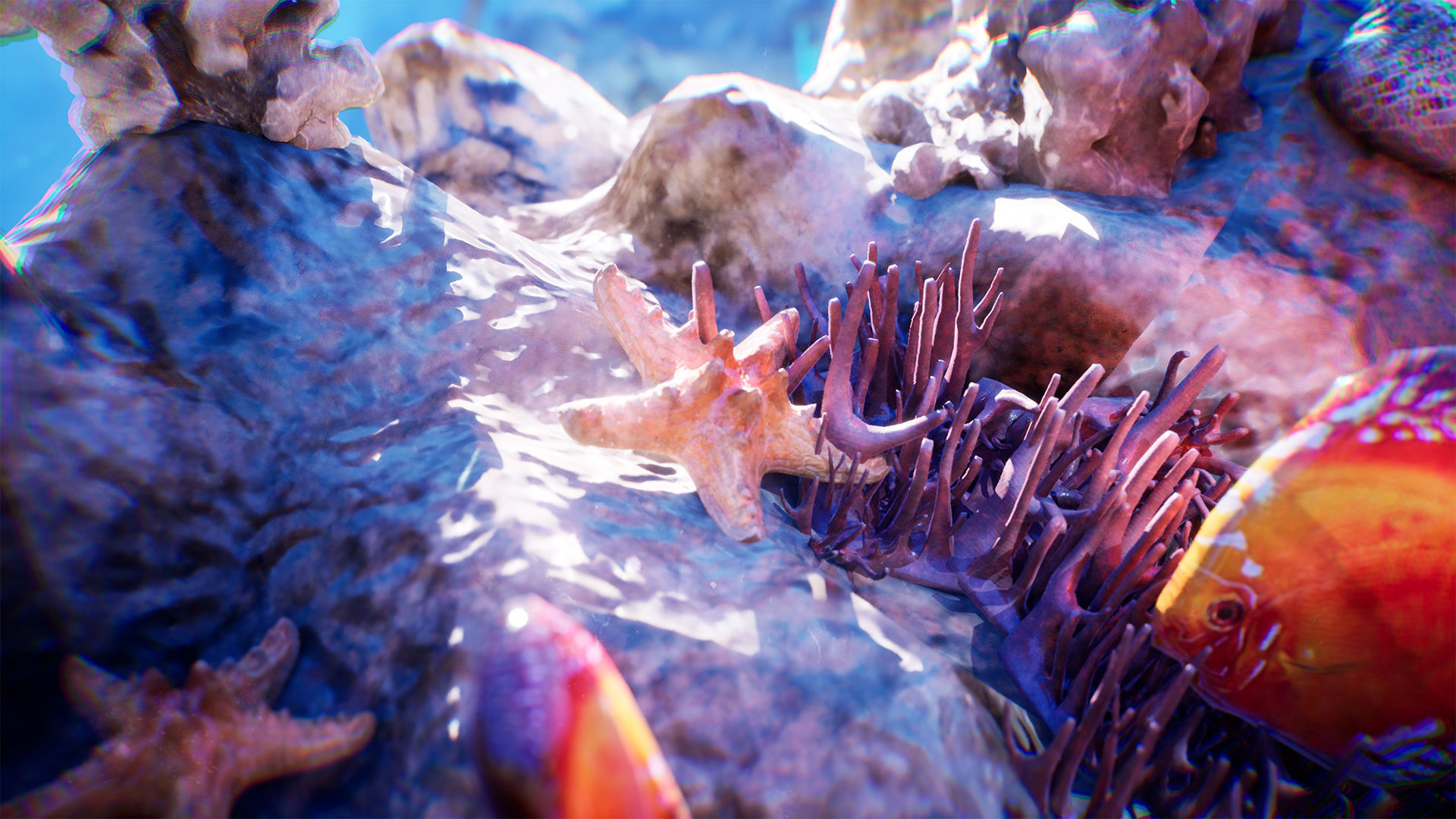Ocean Floor Pack  High Quality Environment Low-poly 3D model_8