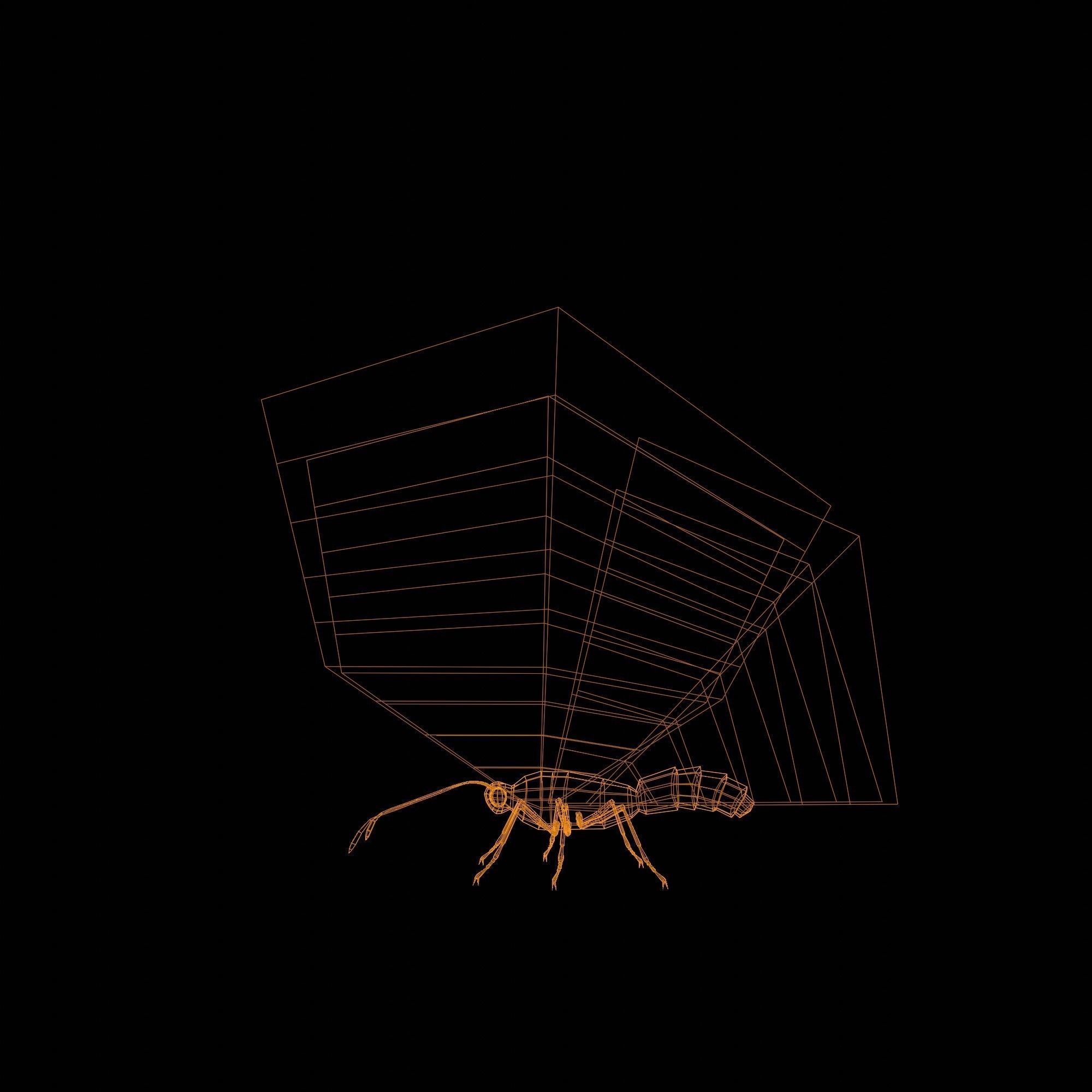 Butterfly Collection Pack 13-18 Low-poly 3D model_42