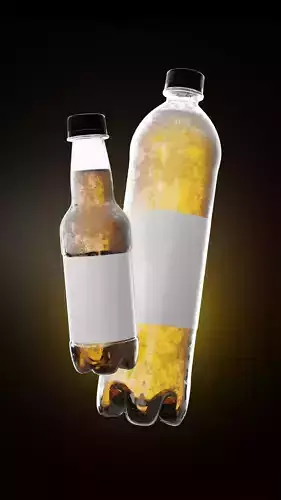 High Quality Beer Bottle
