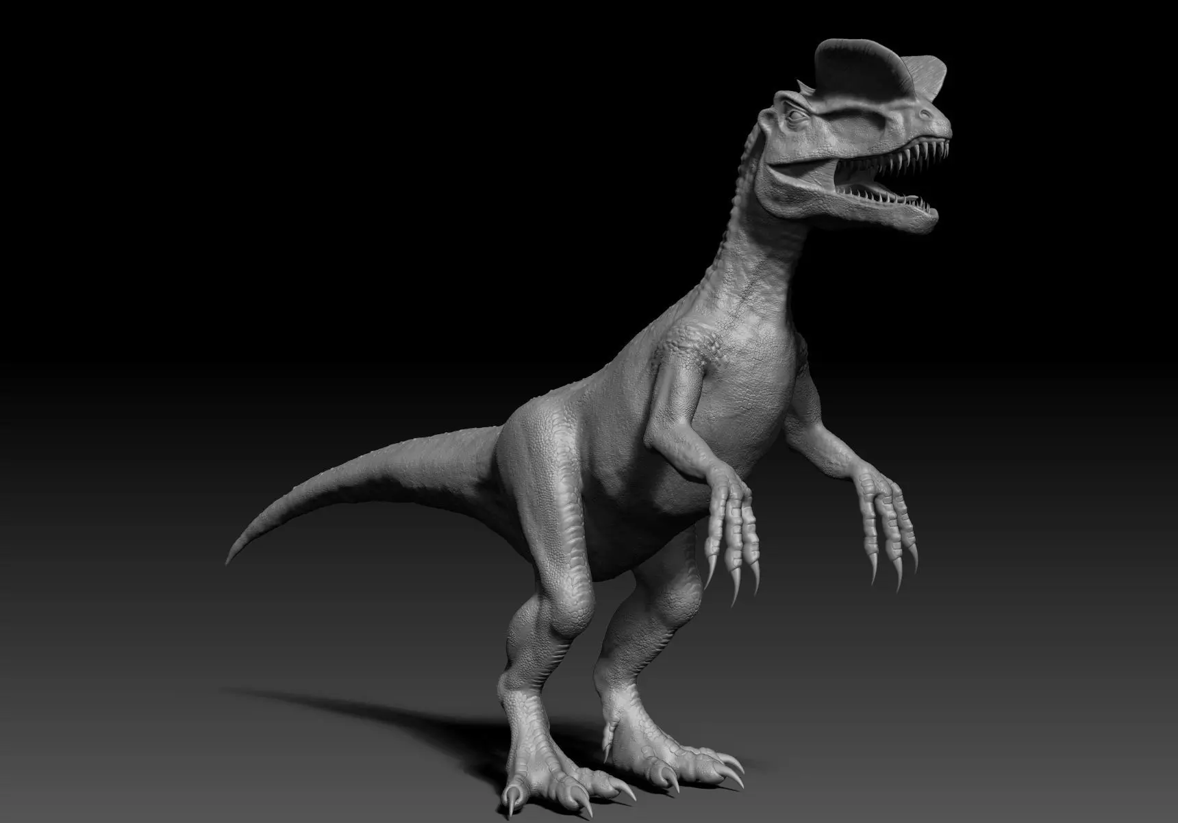 Dinosaur Dilophhosaurus Sculpt Project 3D model_0