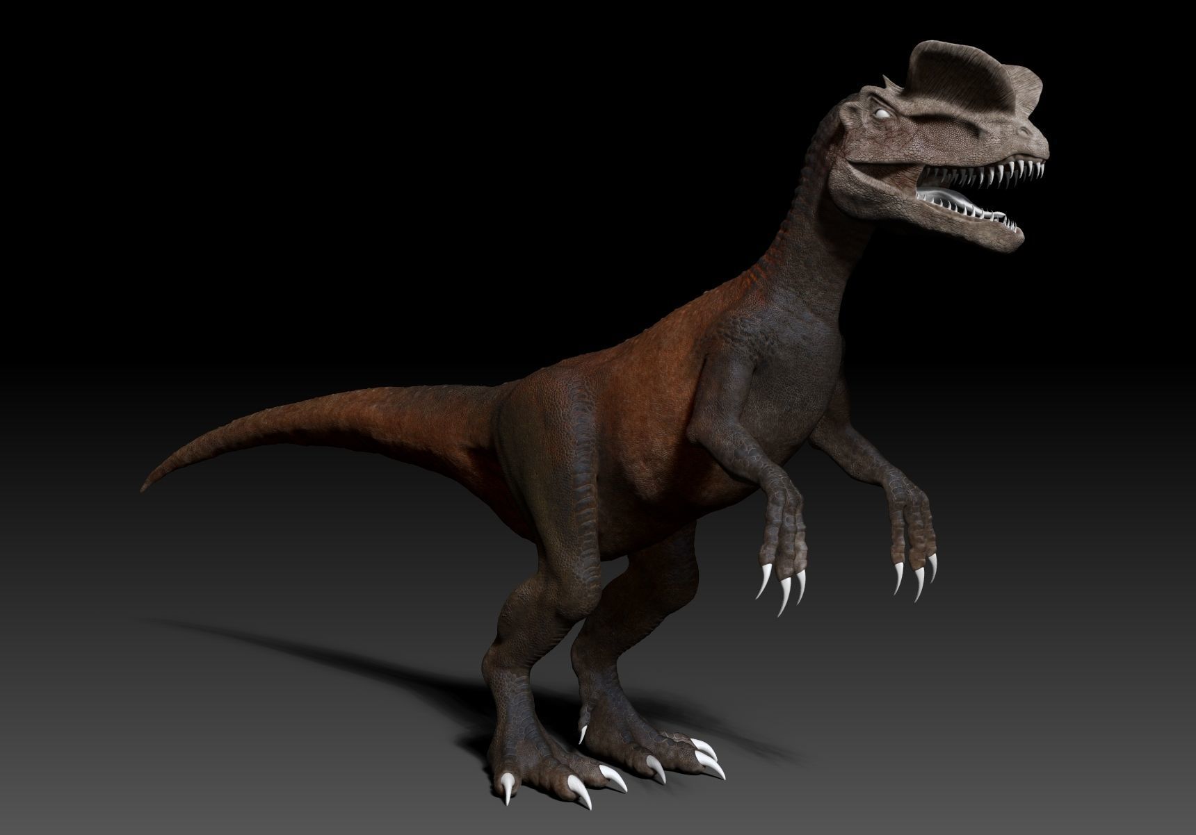 Dinosaur Dilophhosaurus Sculpt Project 3D model_10