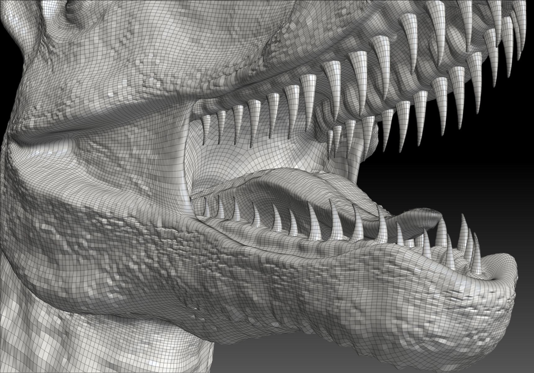 Dinosaur Dilophhosaurus Sculpt Project 3D model_13