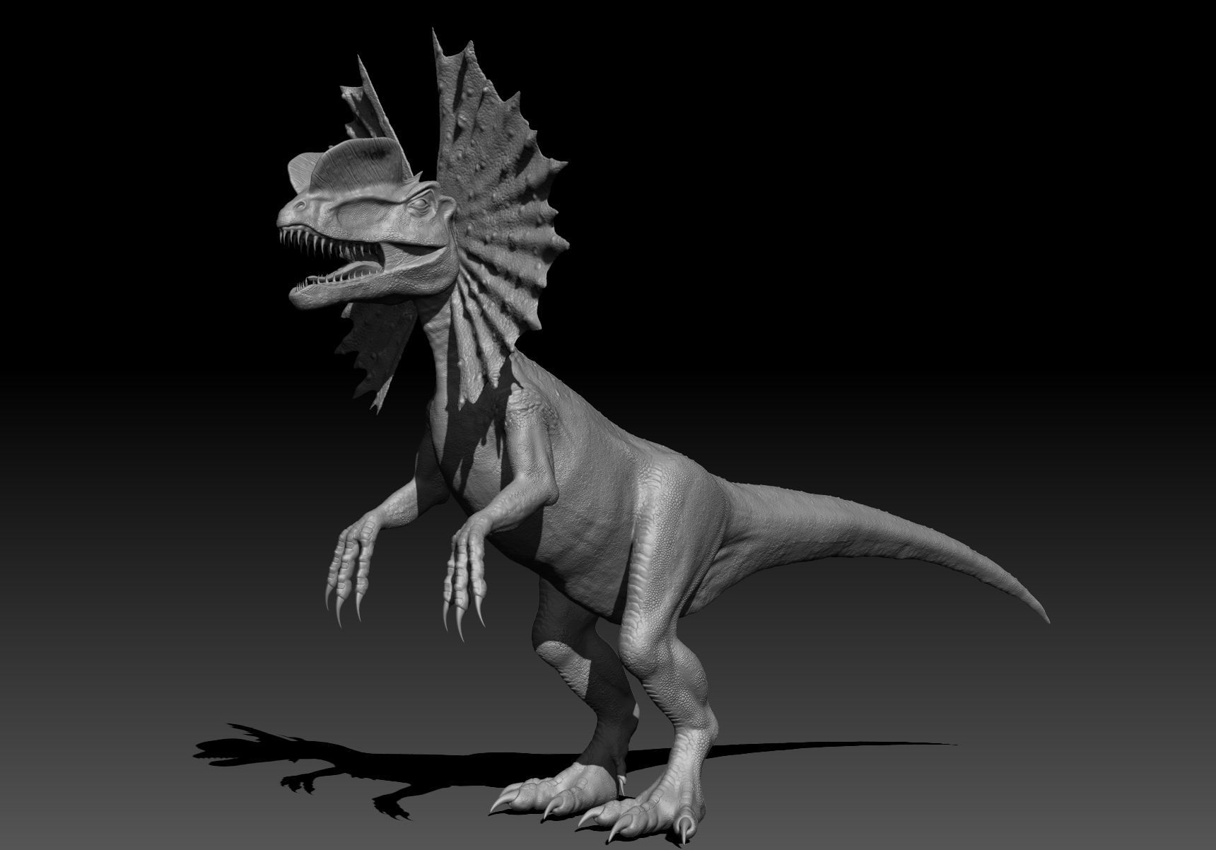 Dinosaur Dilophhosaurus Sculpt Project 3D model_5