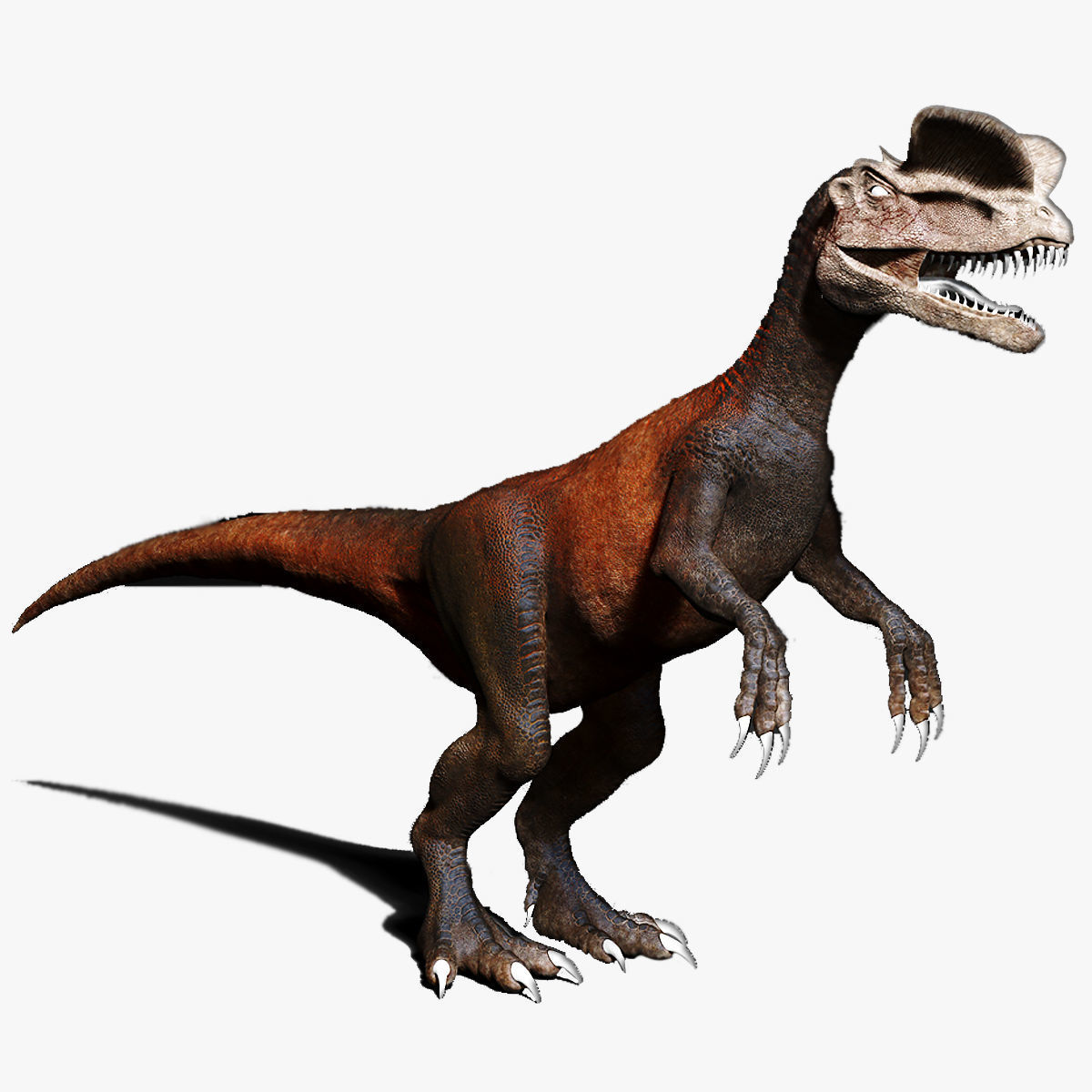 Dinosaur Dilophhosaurus Sculpt Project 3D model_2