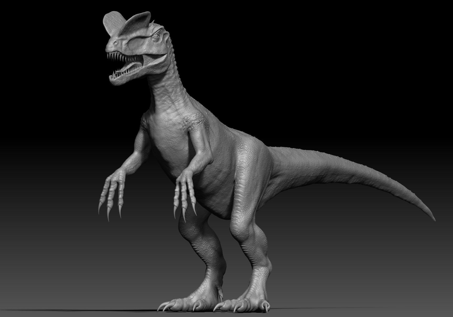 Dinosaur Dilophhosaurus Sculpt Project 3D model_7