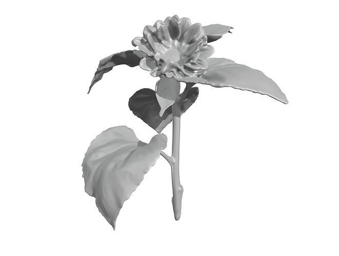 Sunflwer - Flower Free 3D print model