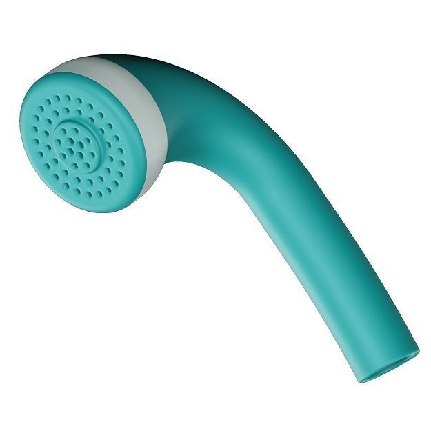 Luxury Plastic Hand Shower 3D model_2