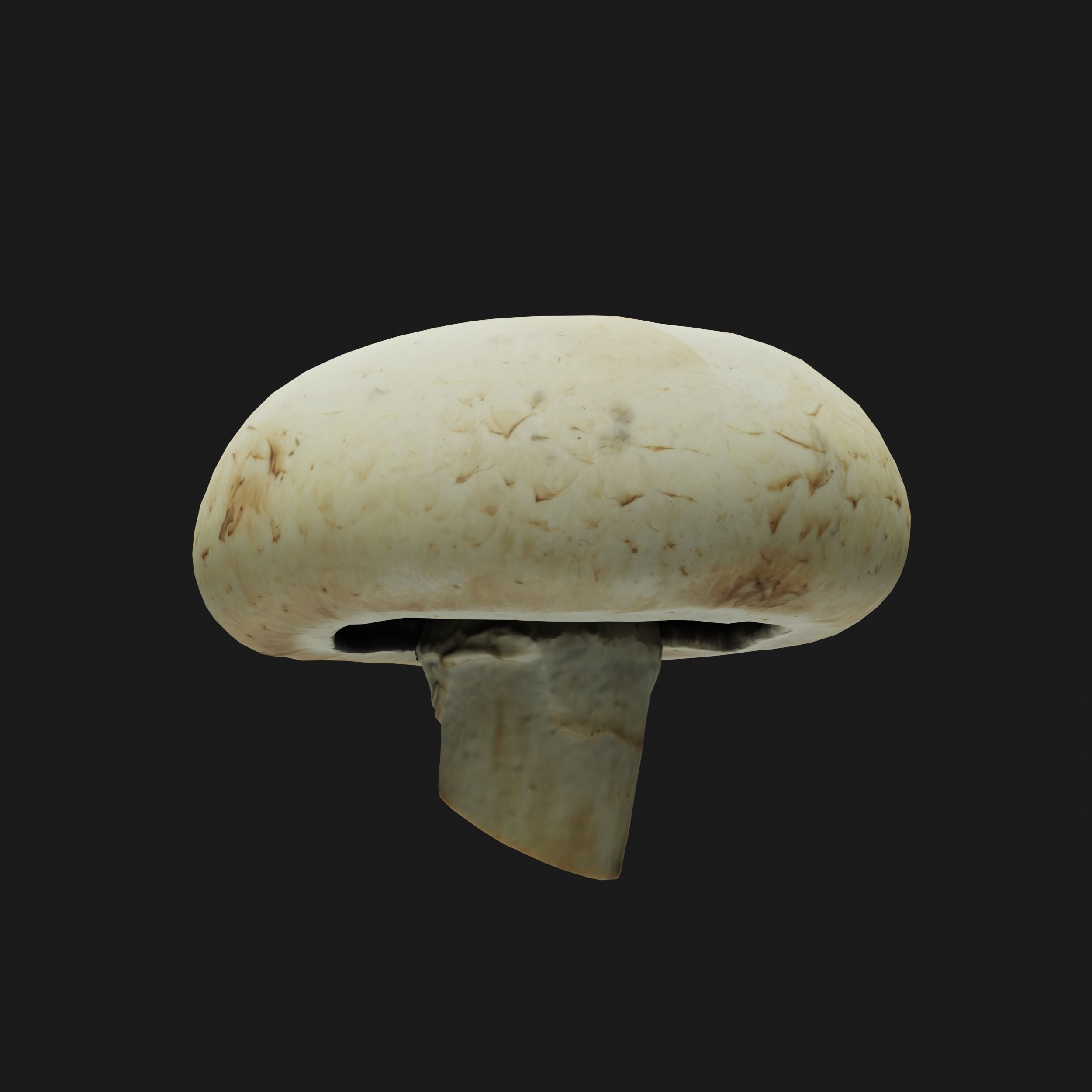 Mushroom Low-poly 3D model_5