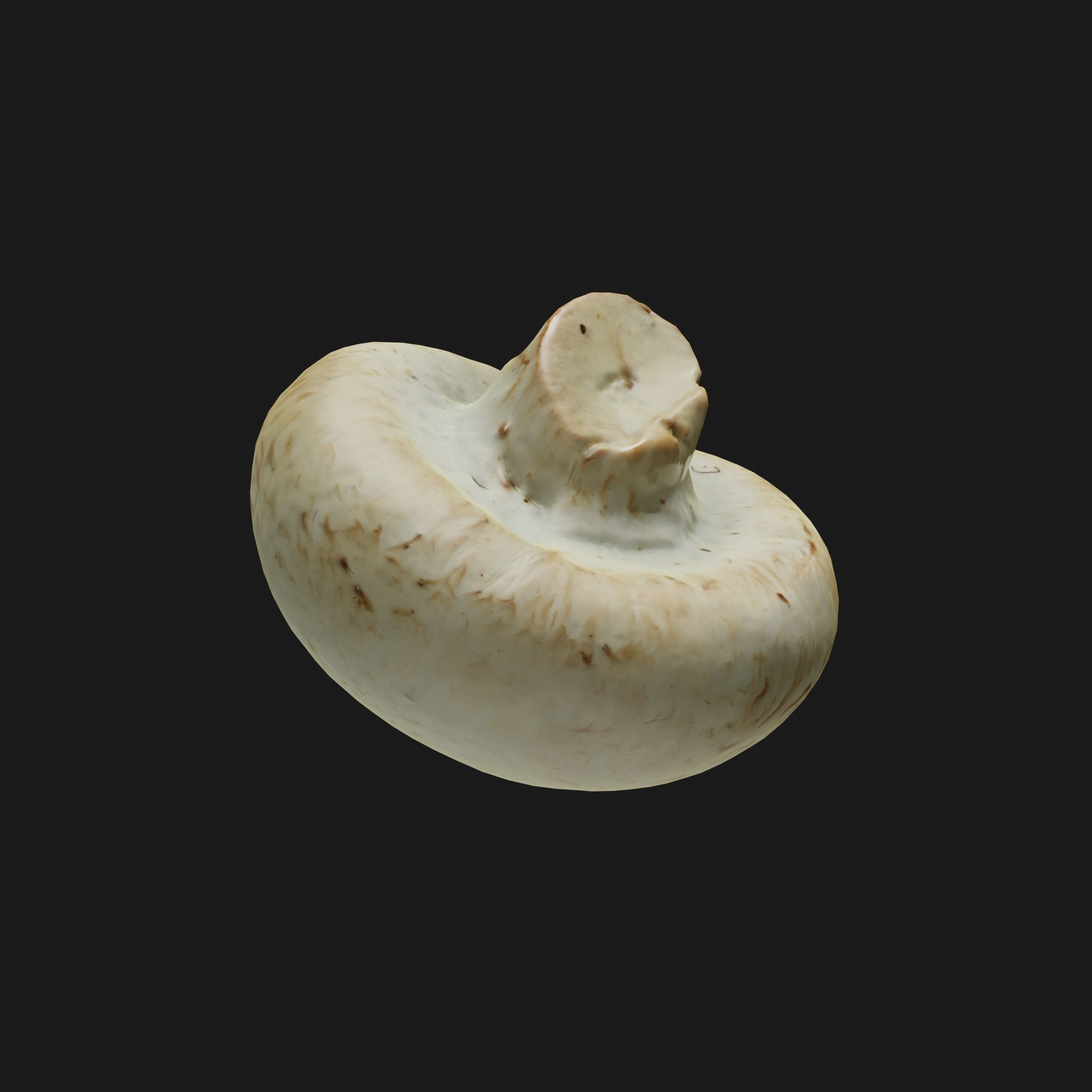 Mushroom Low-poly 3D model_2