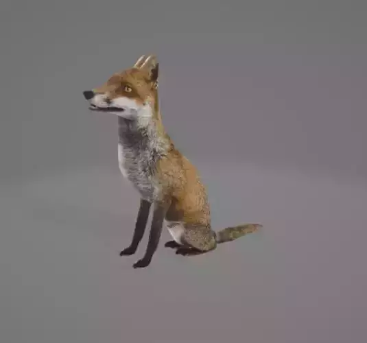 Animated Fox 3D model