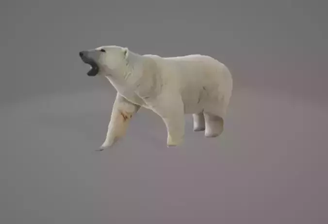 Animated Polarbear