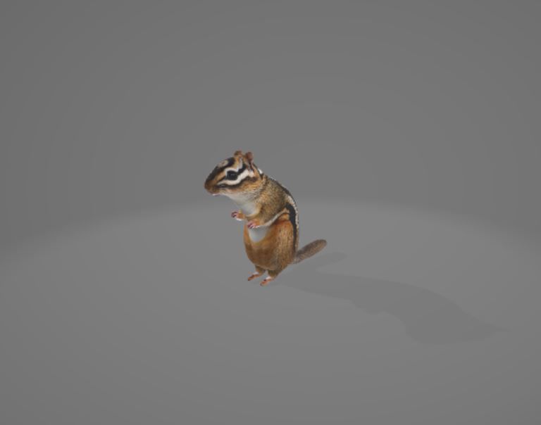 Animated Chipmunk 3D model_1
