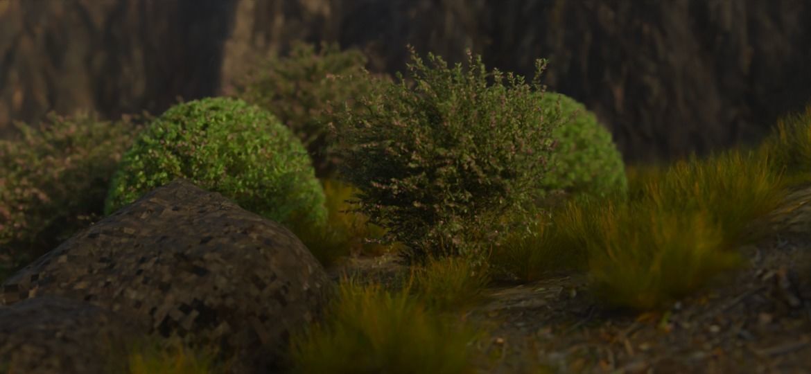 Realistic 3D plants- Pack of 5 each with 4 variants Free low-poly 3D model_4