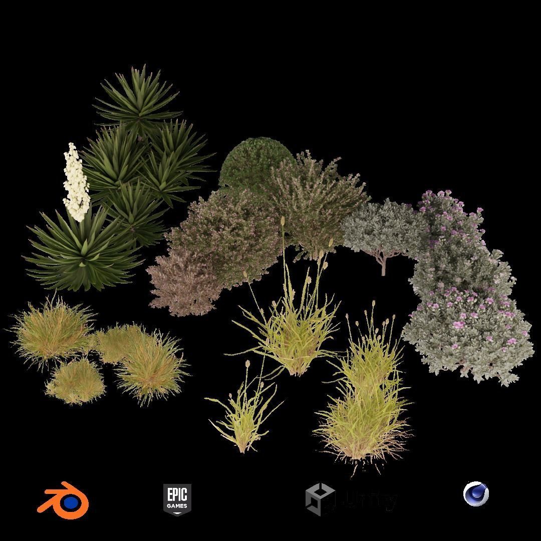 Realistic 3D plants- Pack of 5 each with 4 variants Free low-poly 3D model_2
