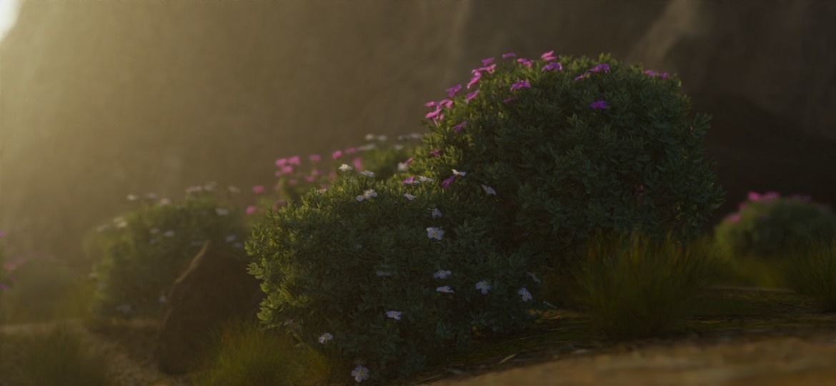 Realistic 3D plants- Pack of 5 each with 4 variants Free low-poly 3D model_8