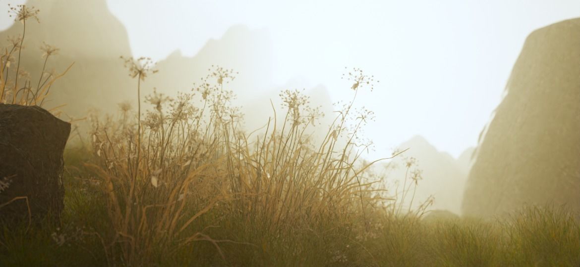 Realistic 3D plants- Pack of 5 each with 4 variants Free low-poly 3D model_7