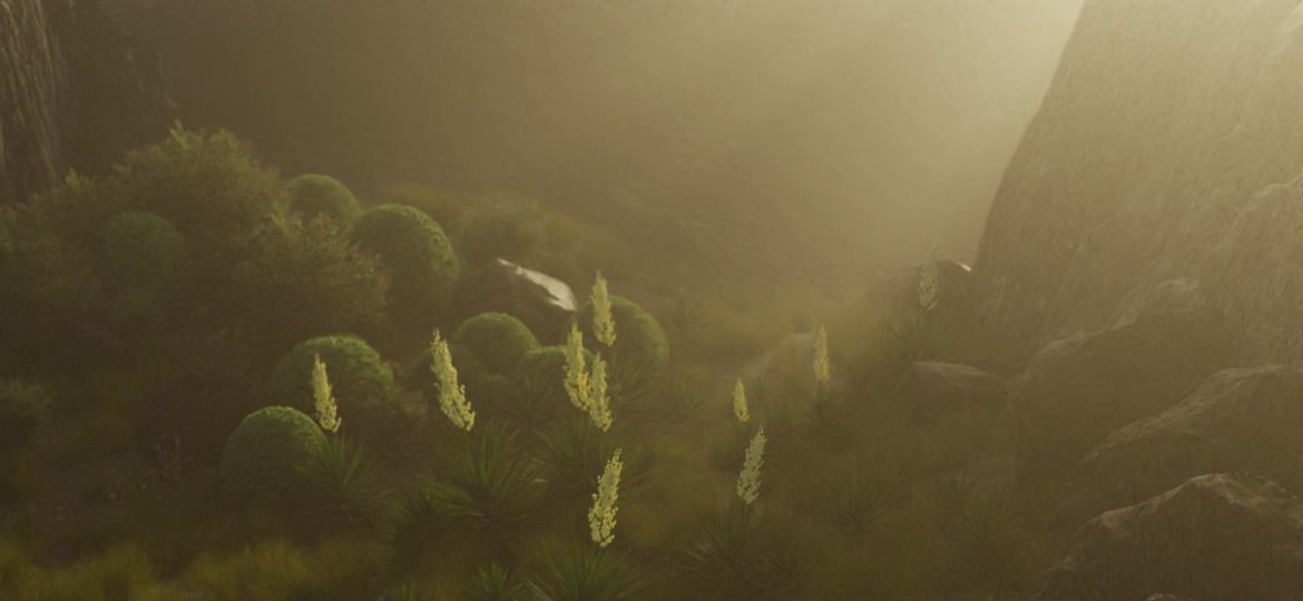 Realistic 3D plants- Pack of 5 each with 4 variants Free low-poly 3D model_6