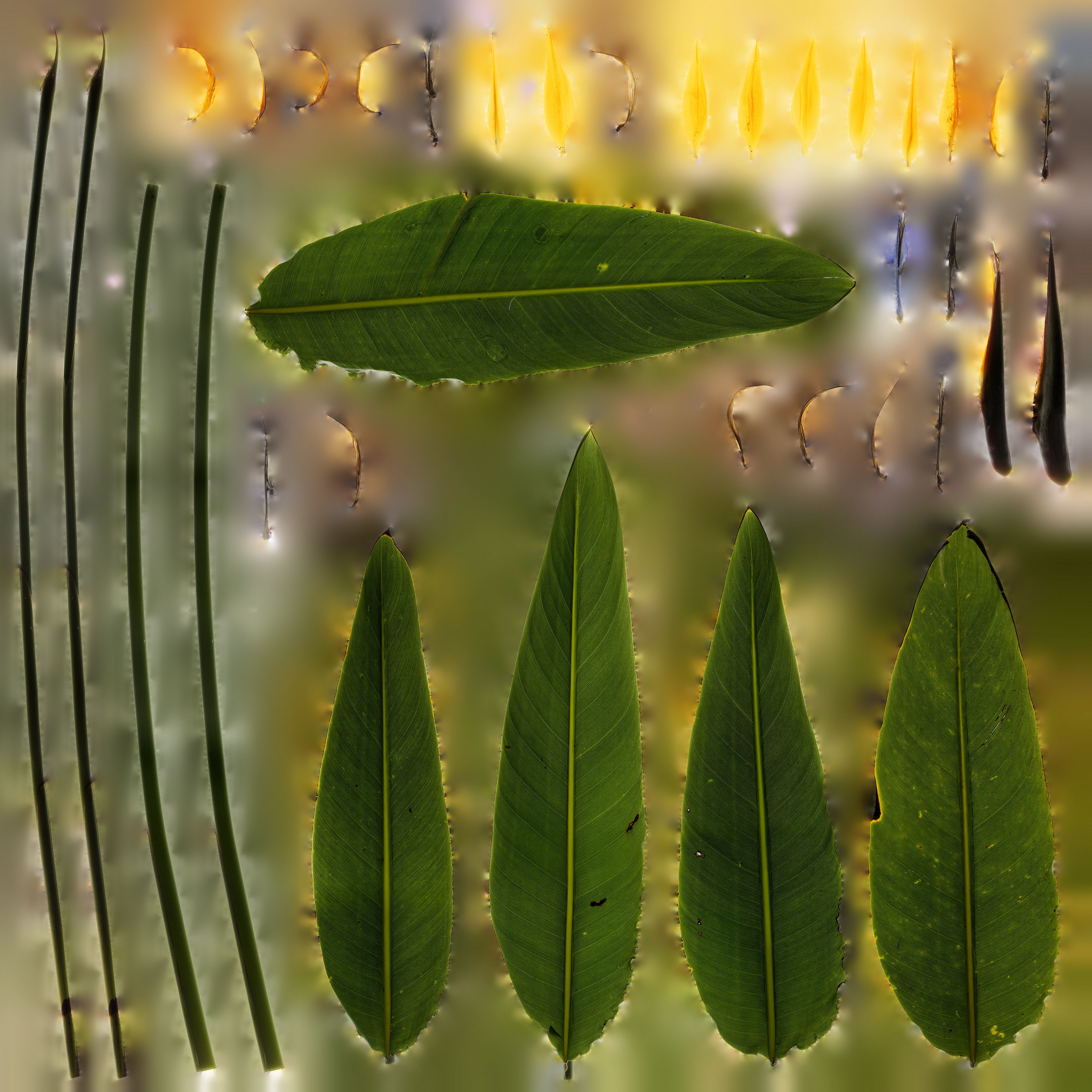 redshift room  Free 3D model_7