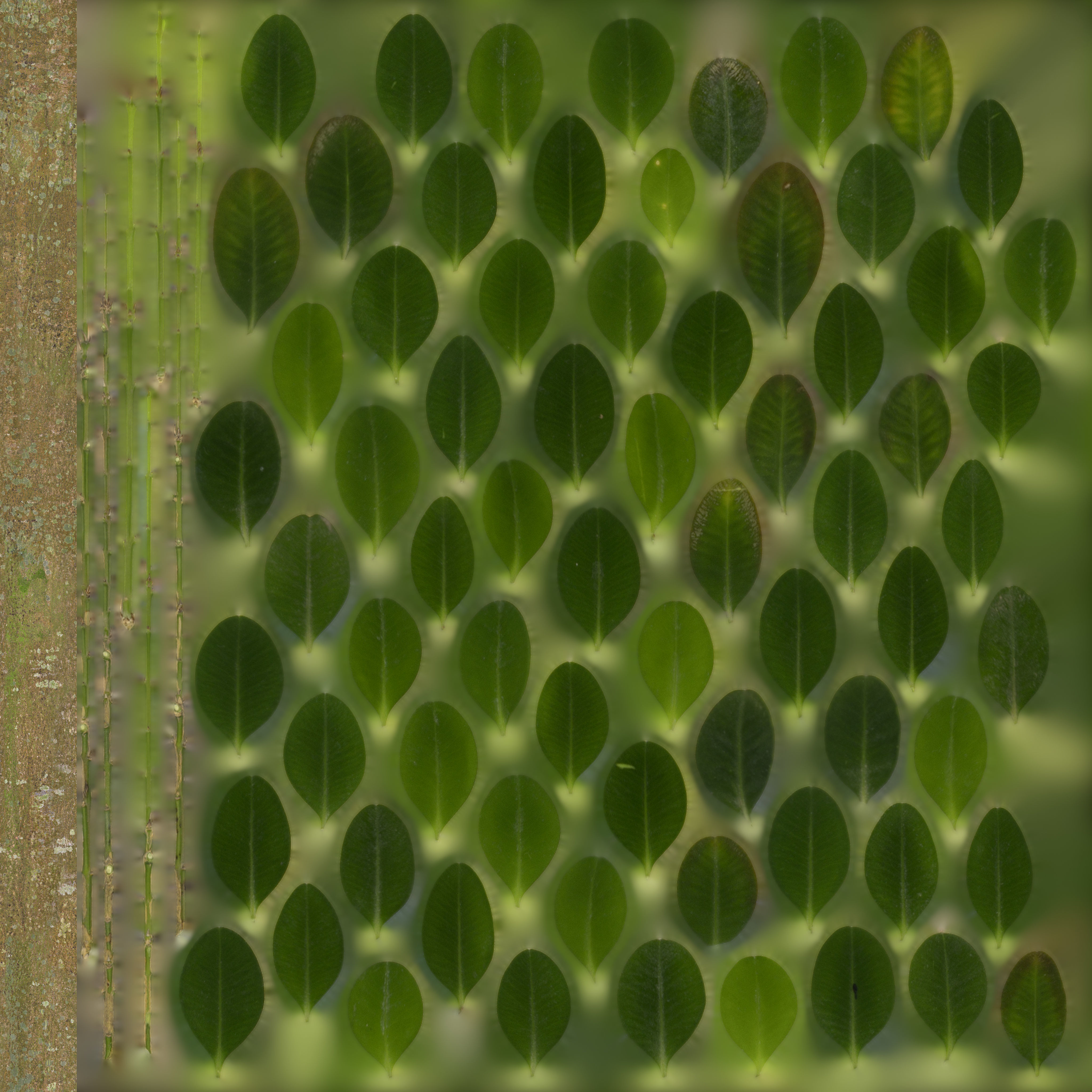 redshift room  Free 3D model_6