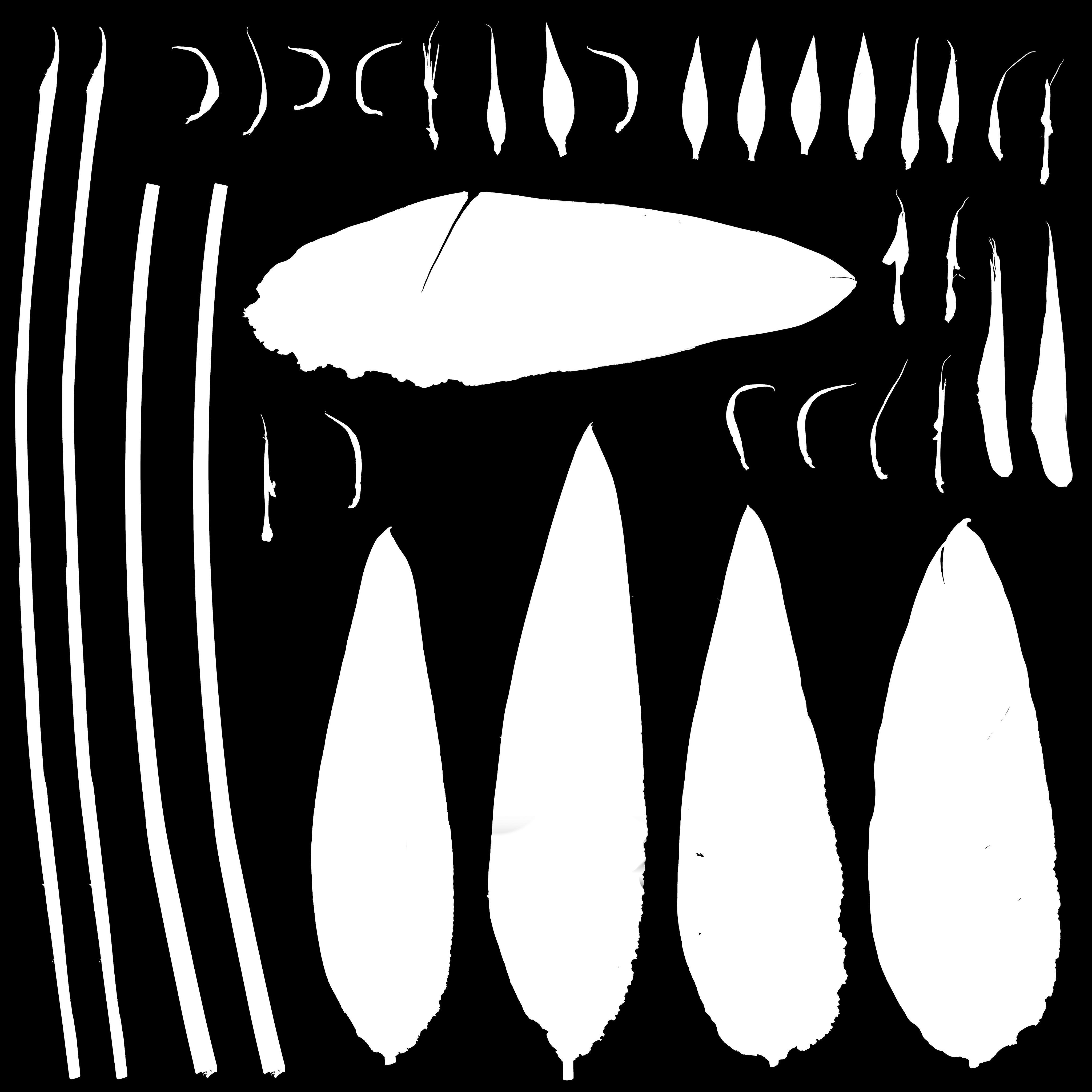 redshift room  Free 3D model_1