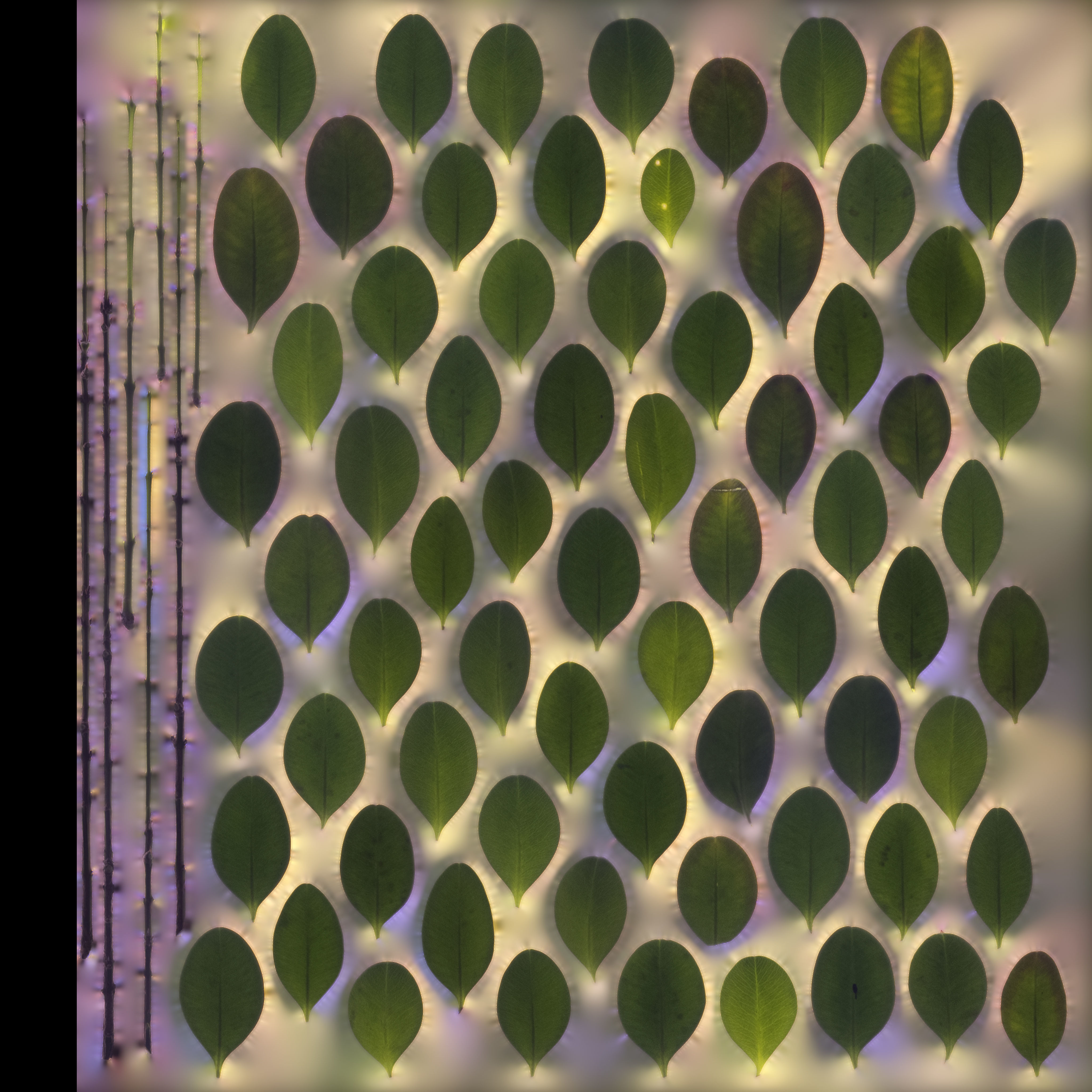 redshift room  Free 3D model_5