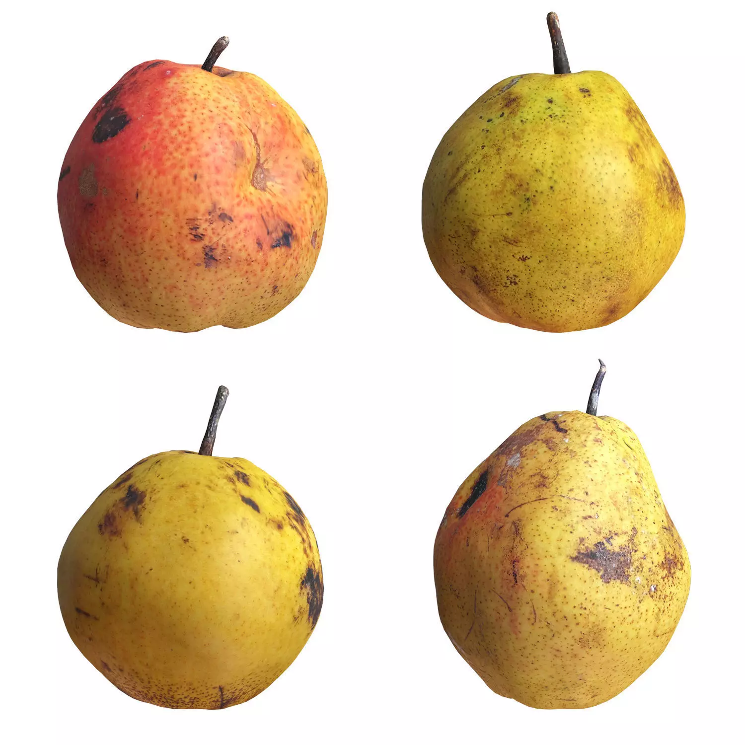 4 Realistic pears Low-poly 3D model_0
