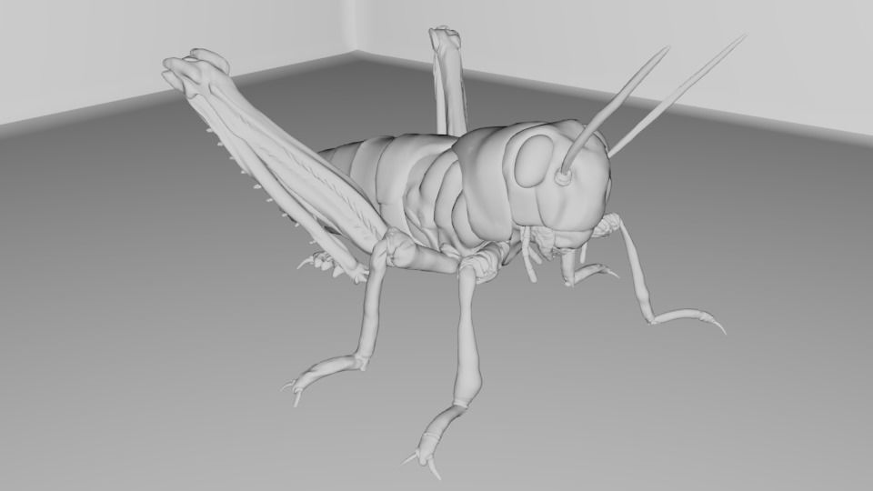 4 Type of insects Low-poly 3D model_3