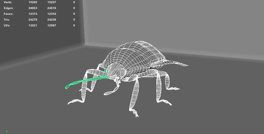 4 Type of insects Low-poly 3D model_10