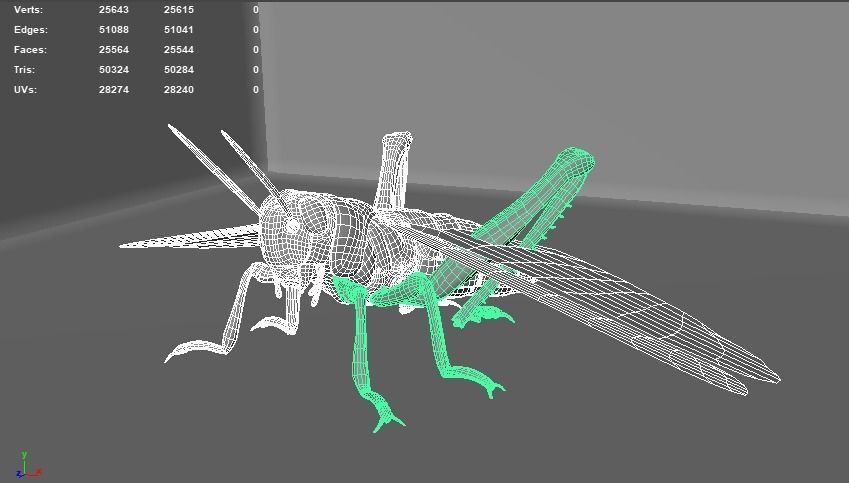 4 Type of insects Low-poly 3D model_2