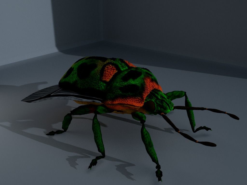 4 Type of insects Low-poly 3D model_9