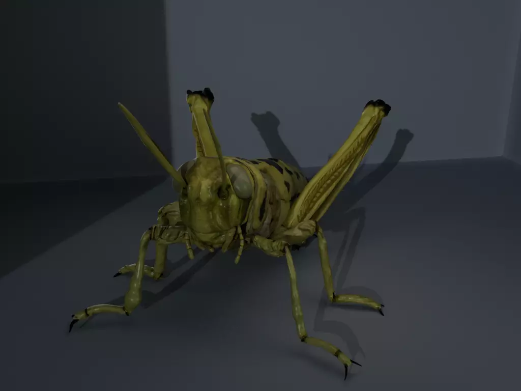 4 Type of insects Low-poly 3D model_0