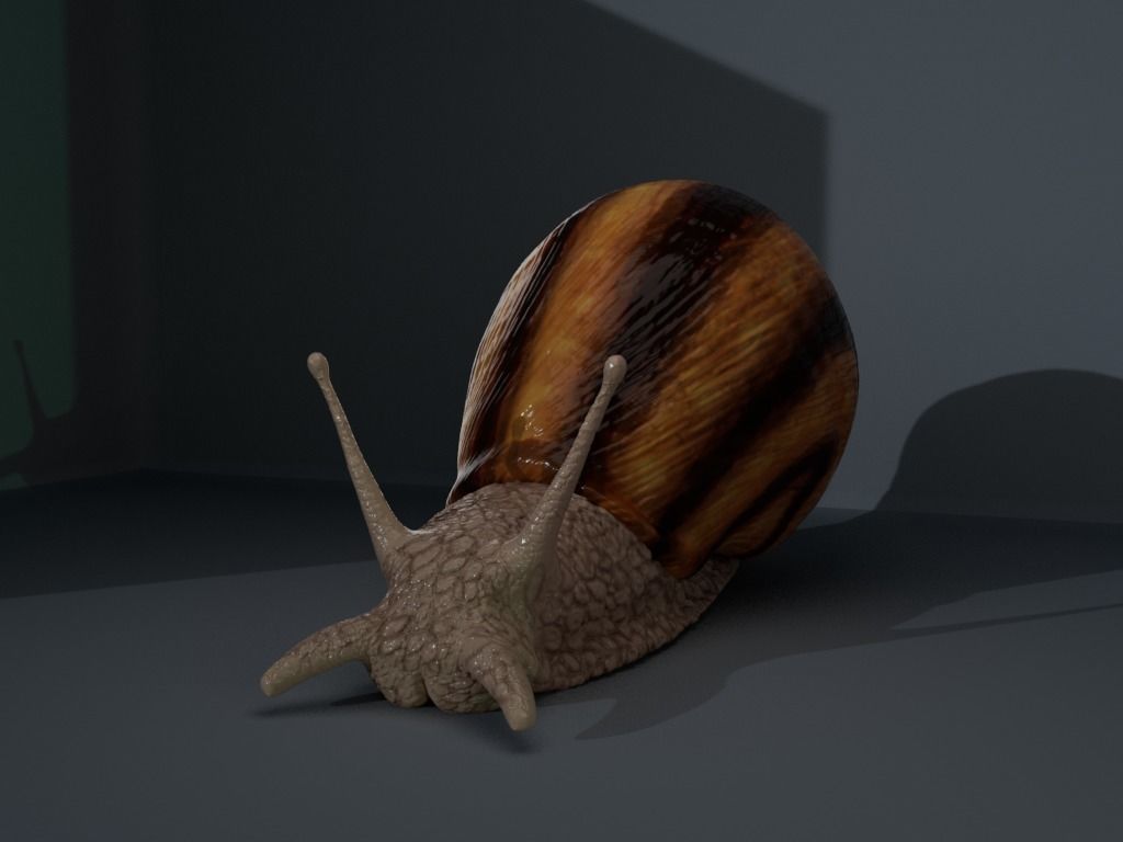 4 Type of insects Low-poly 3D model_12