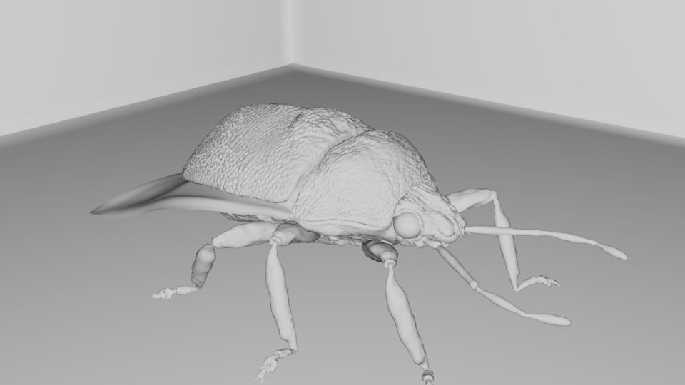 4 Type of insects Low-poly 3D model_11