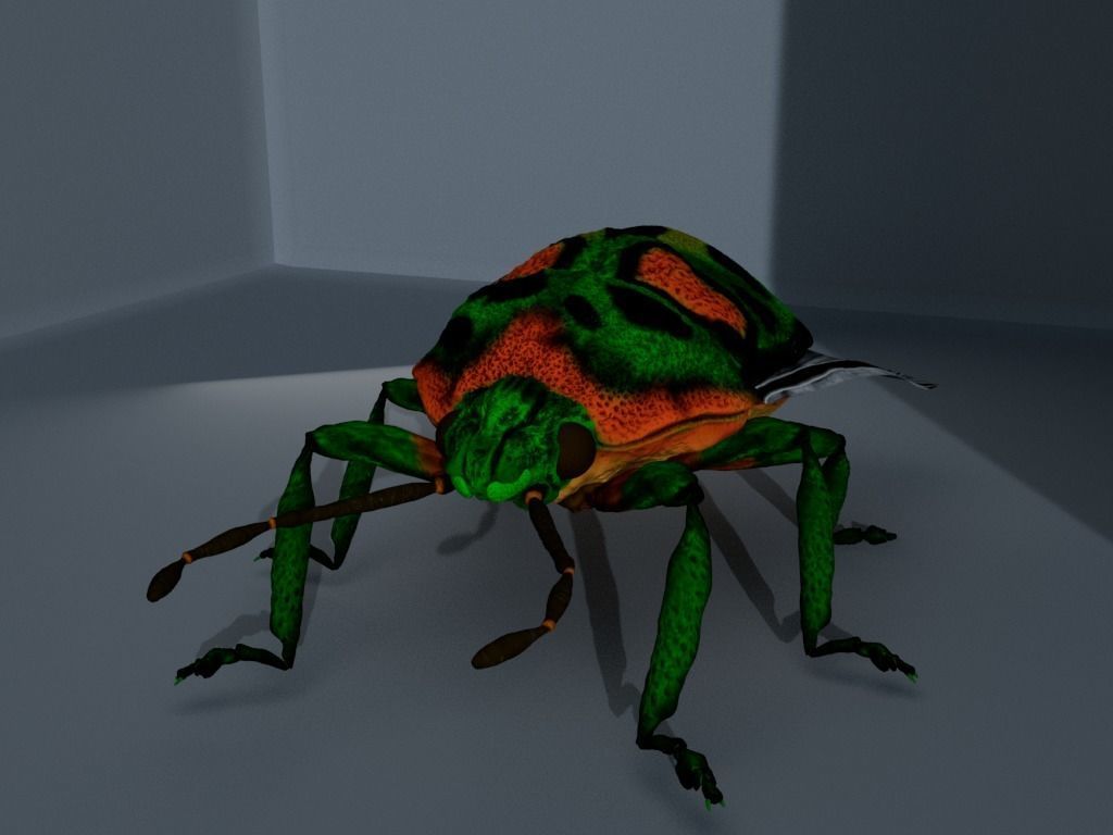 4 Type of insects Low-poly 3D model_8