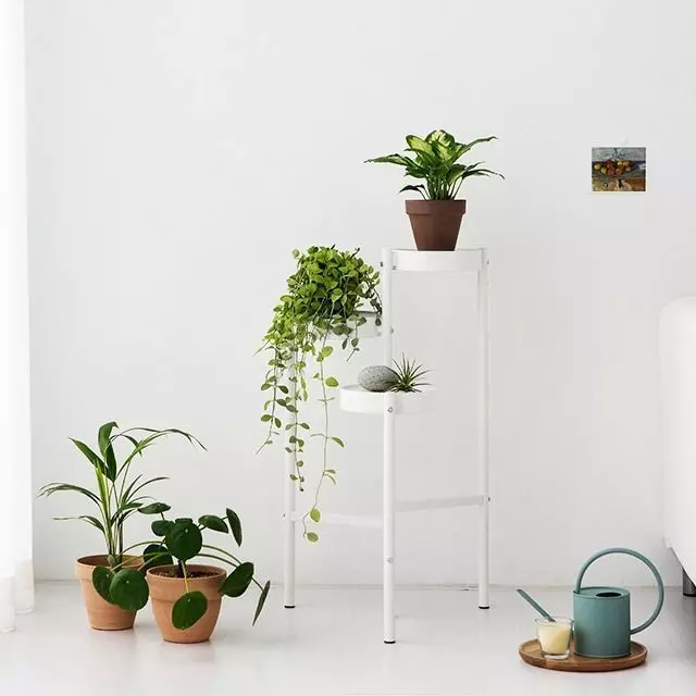 TRISHEL 3 Tier Shelf 3D model_0