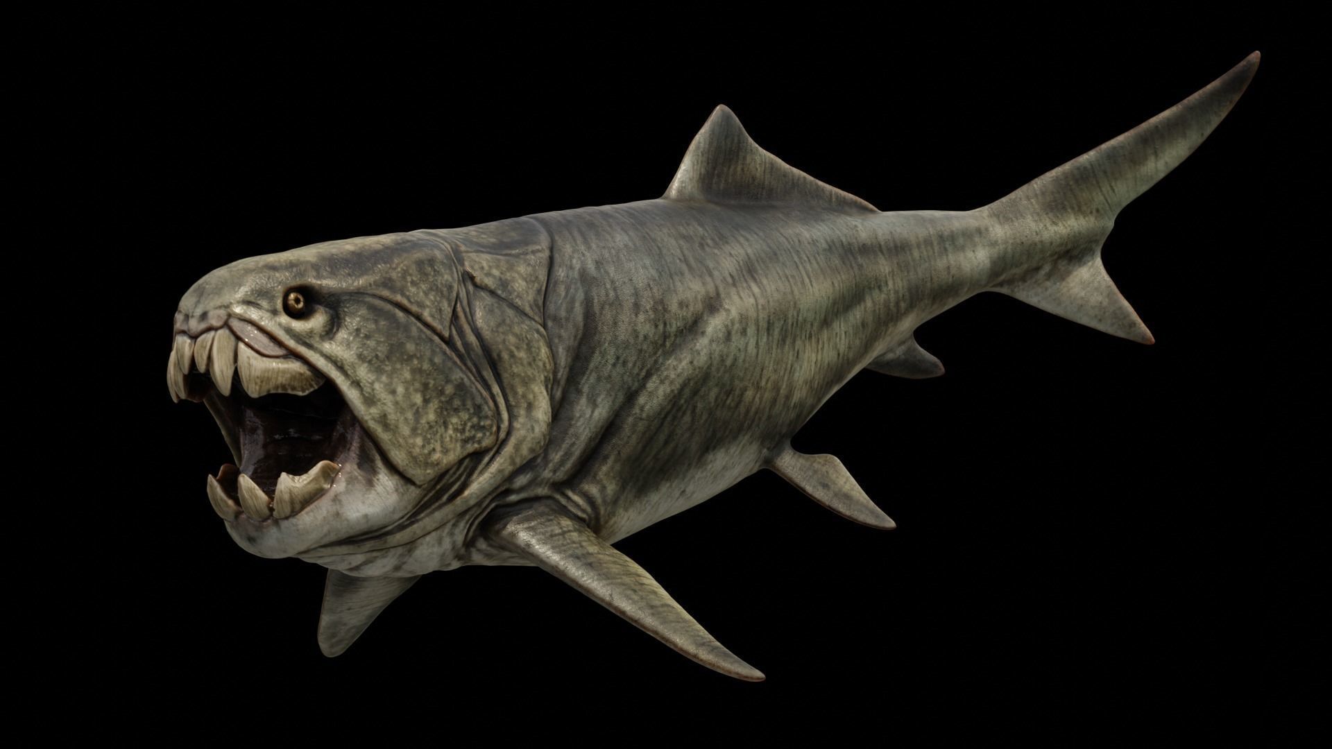 Dunkleosteus Prehistoric Fish Low-poly 3D model_4