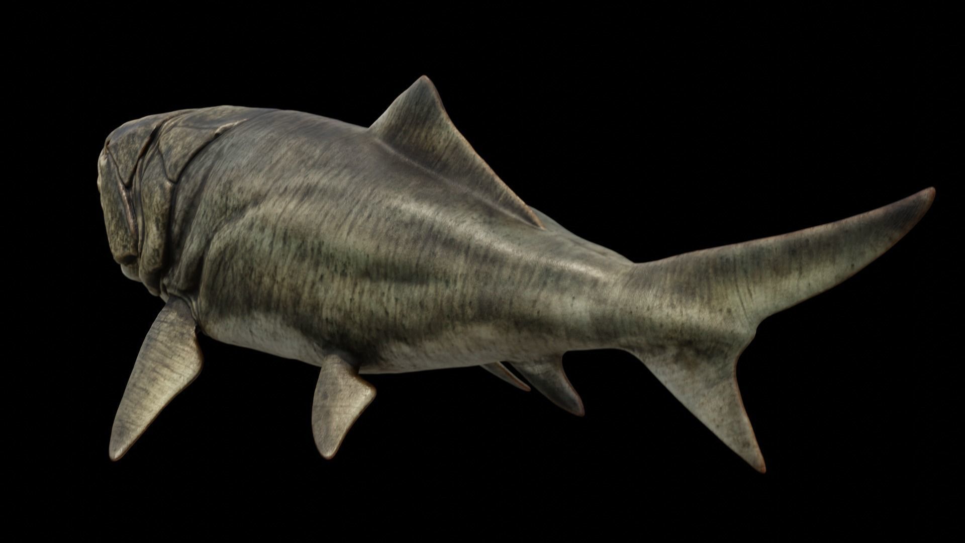 Dunkleosteus Prehistoric Fish Low-poly 3D model_3