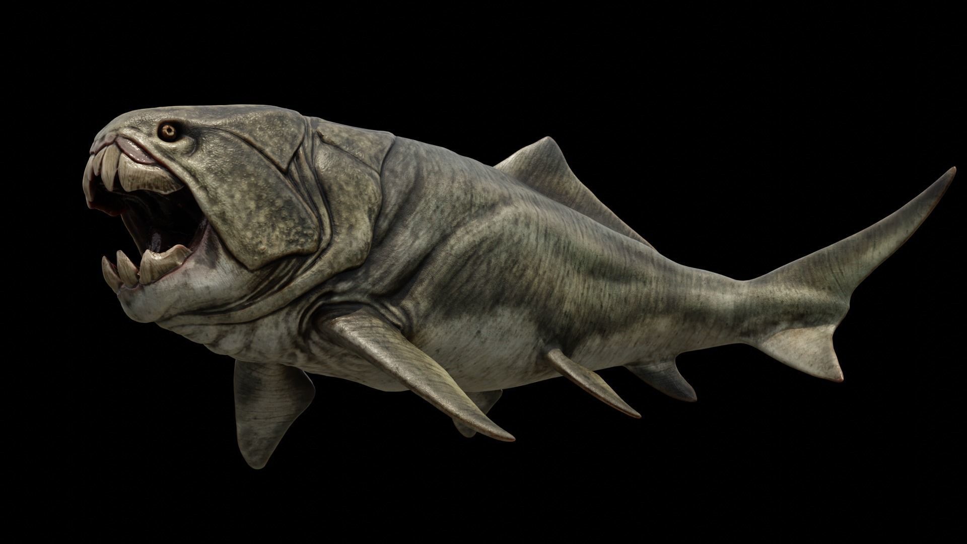 3D Model Dunkleosteus Prehistoric Fish VR AR Low poly CGTrader