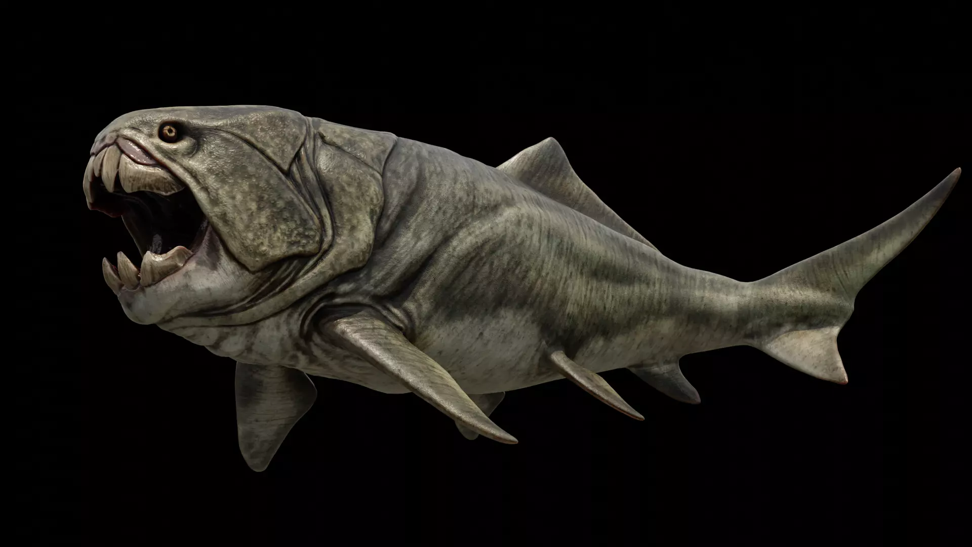 Dunkleosteus Prehistoric Fish Low-poly 3D model_0