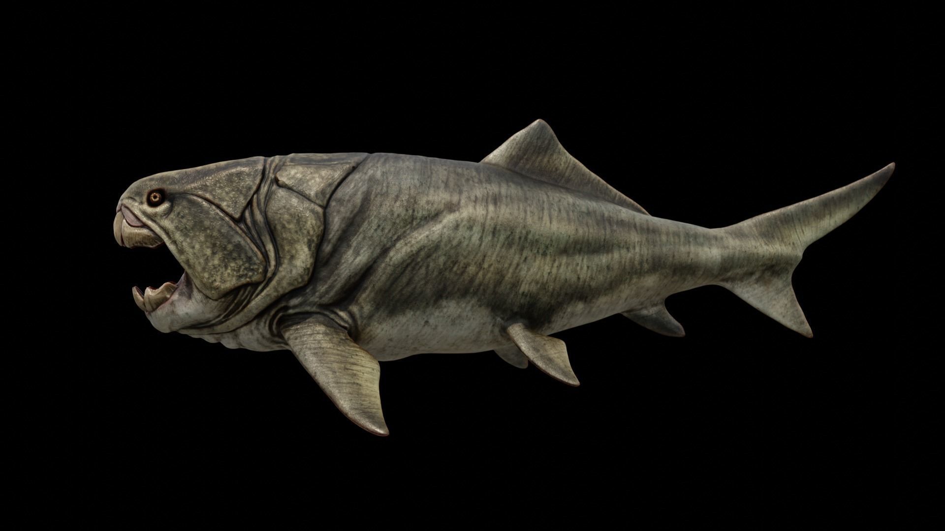 Dunkleosteus Prehistoric Fish Low-poly 3D model_2
