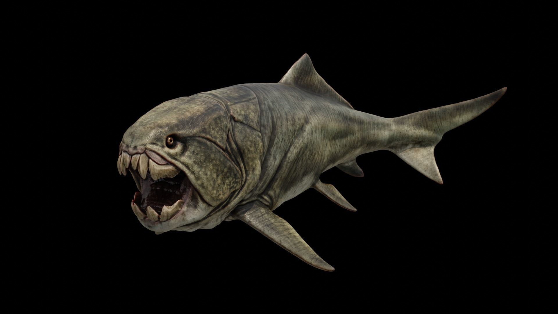 Dunkleosteus Prehistoric Fish Low-poly 3D model_5
