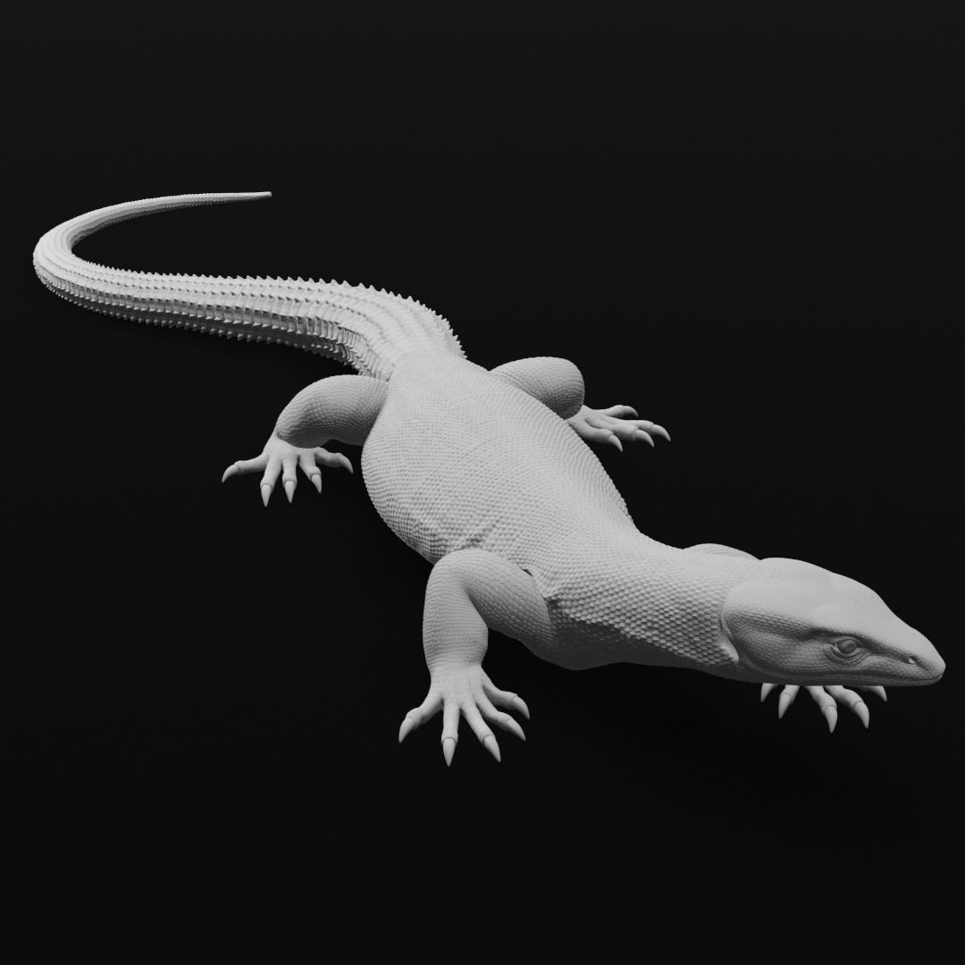 Ackie Monitor - Spiny Tailed Monitor - Lizard Reptile 3D Print 3D print model_7