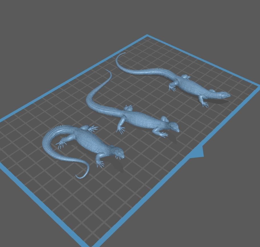 Ackie Monitor - Spiny Tailed Monitor - Lizard Reptile 3D Print 3D print model_13