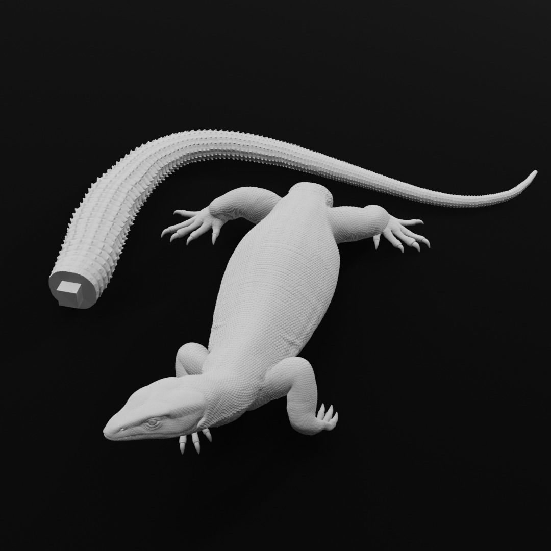 Ackie Monitor - Spiny Tailed Monitor - Lizard Reptile 3D Print 3D print model_10